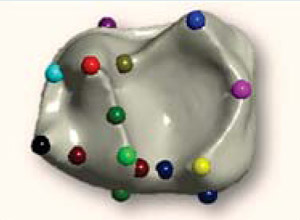 PTO.v65.i1.16_3.f1.jpg