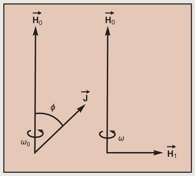 PTO.v66.i1.36_1.f3.jpg