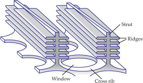 PTO.v68.i6.32_1.f3.jpg