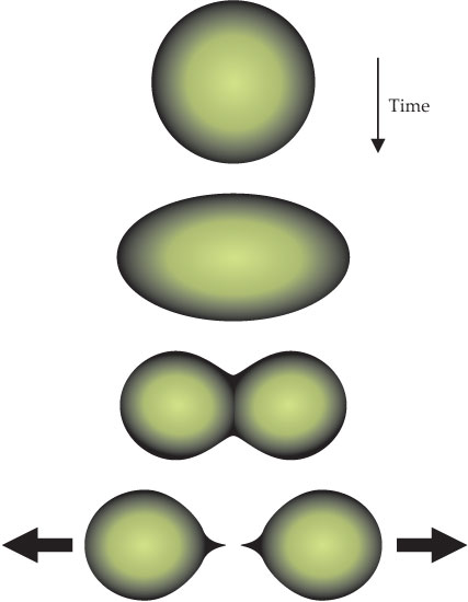 PTO.v68.i6.40_1.f3.jpg