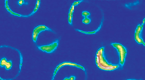PTO.v68.i6.46_1.f7.jpg