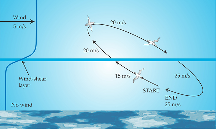PTO.v70.i11.78_1.f1.jpg