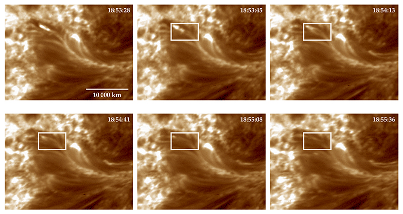 PTO.v70.i8.36_1.f2.jpg