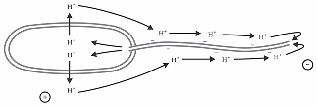 PTO.v72.i5.44_1.f1.jpg