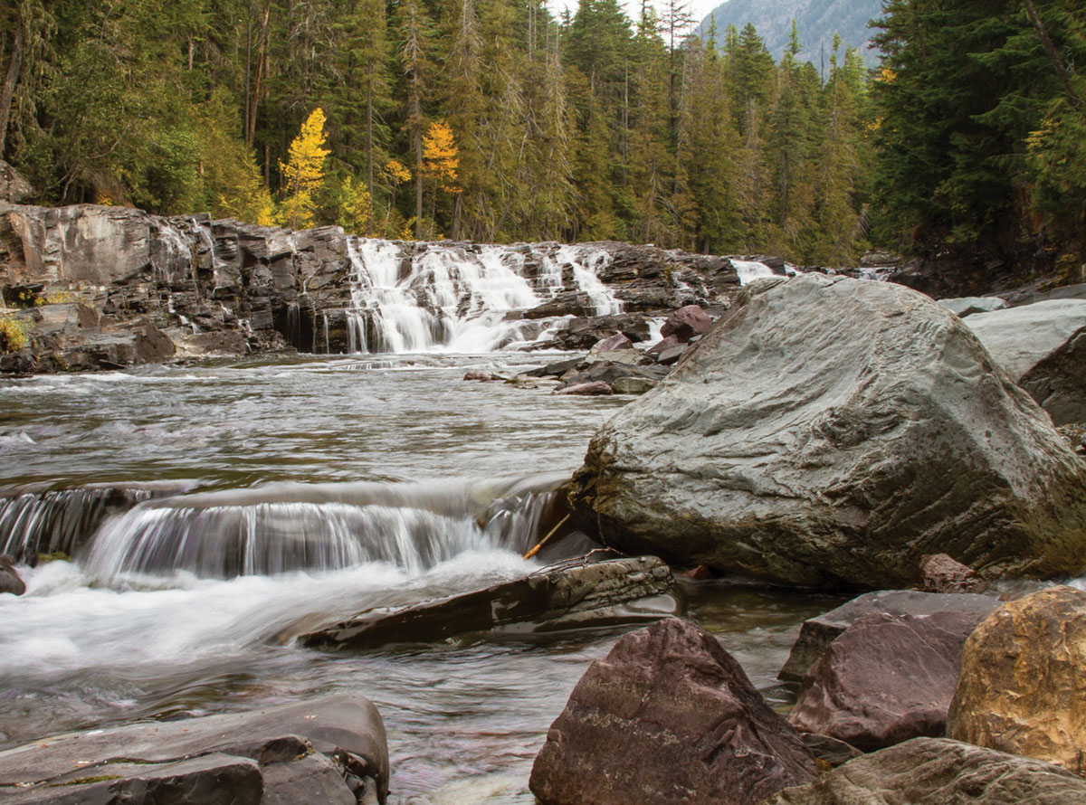 PTO.v73.i1.28_1.f1.jpg