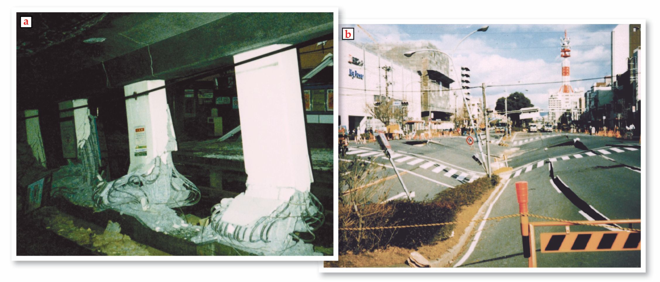 PTO.v74.i1.34_1.f3.jpg