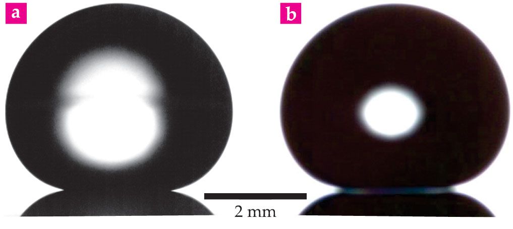 PTO.v75.i8.62_1.f1.jpg