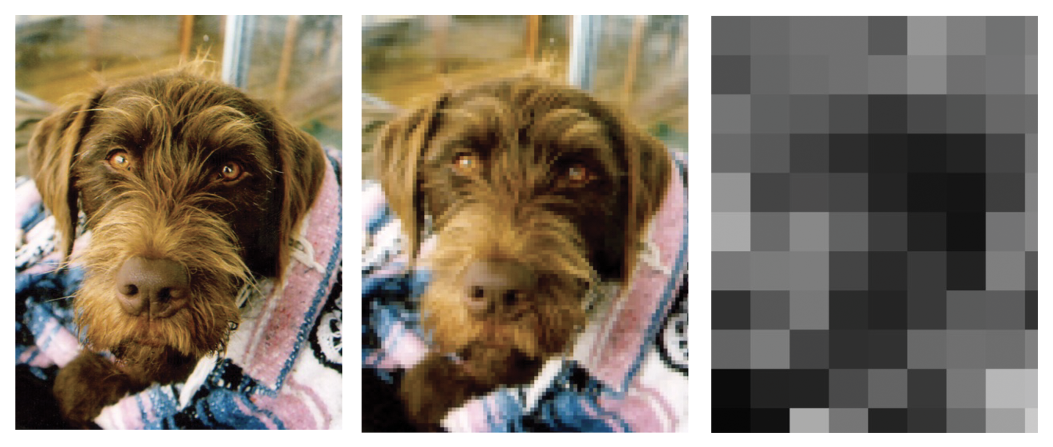 PTO.v77.i12.44_1.f5.png