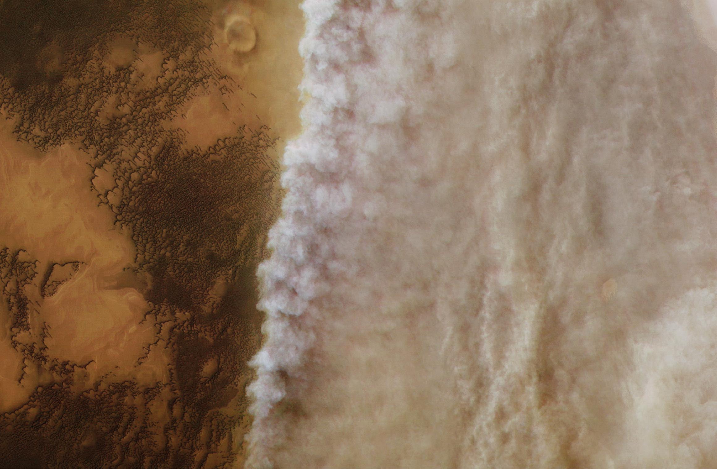 PTO.v77.i7.42_1.f5.jpg