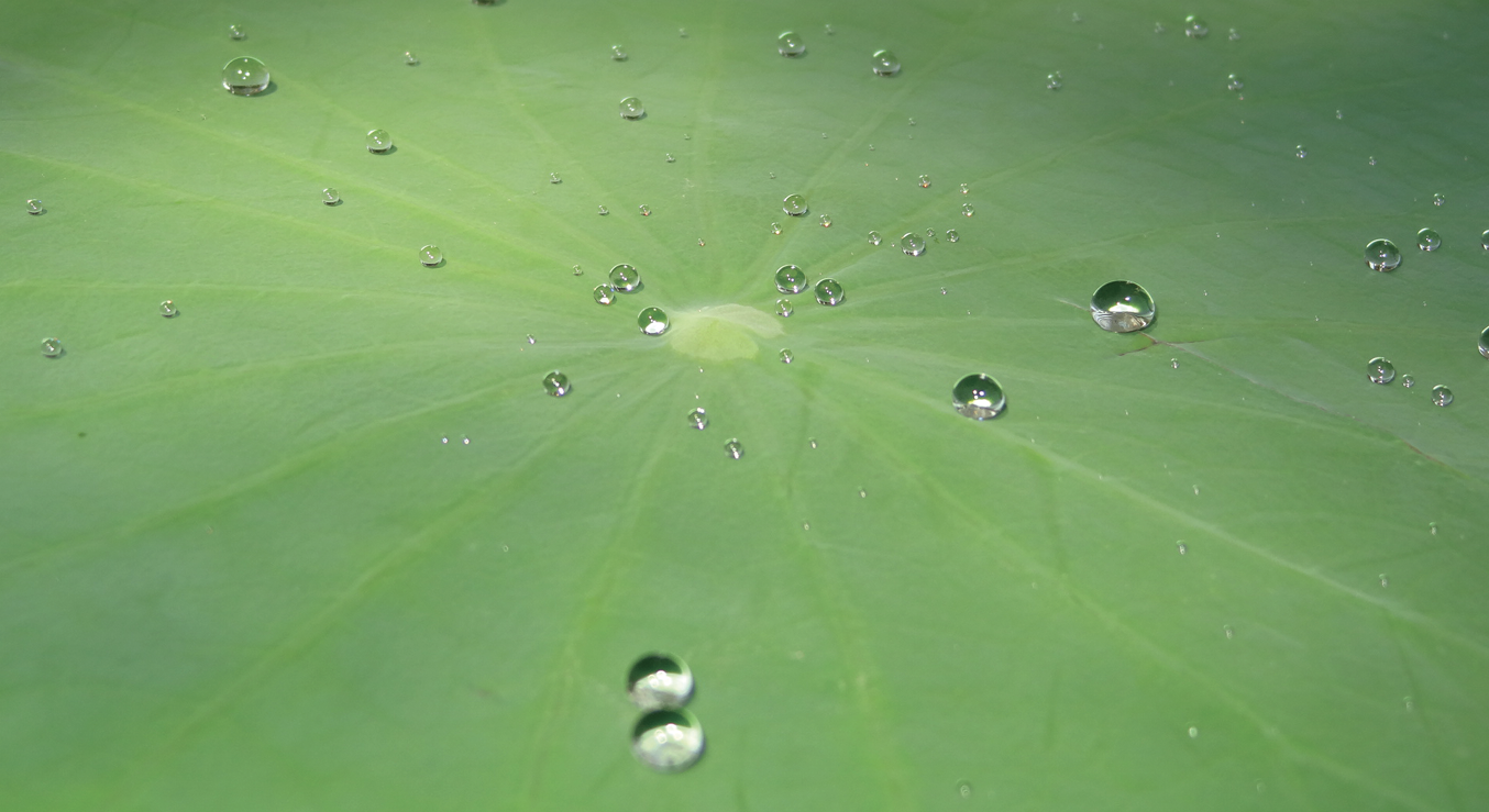 PTO.v77.i8.10_1.f3.png