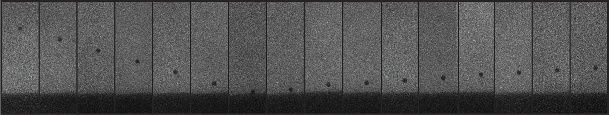 PTO.v77.i8.17_1.f1.jpg