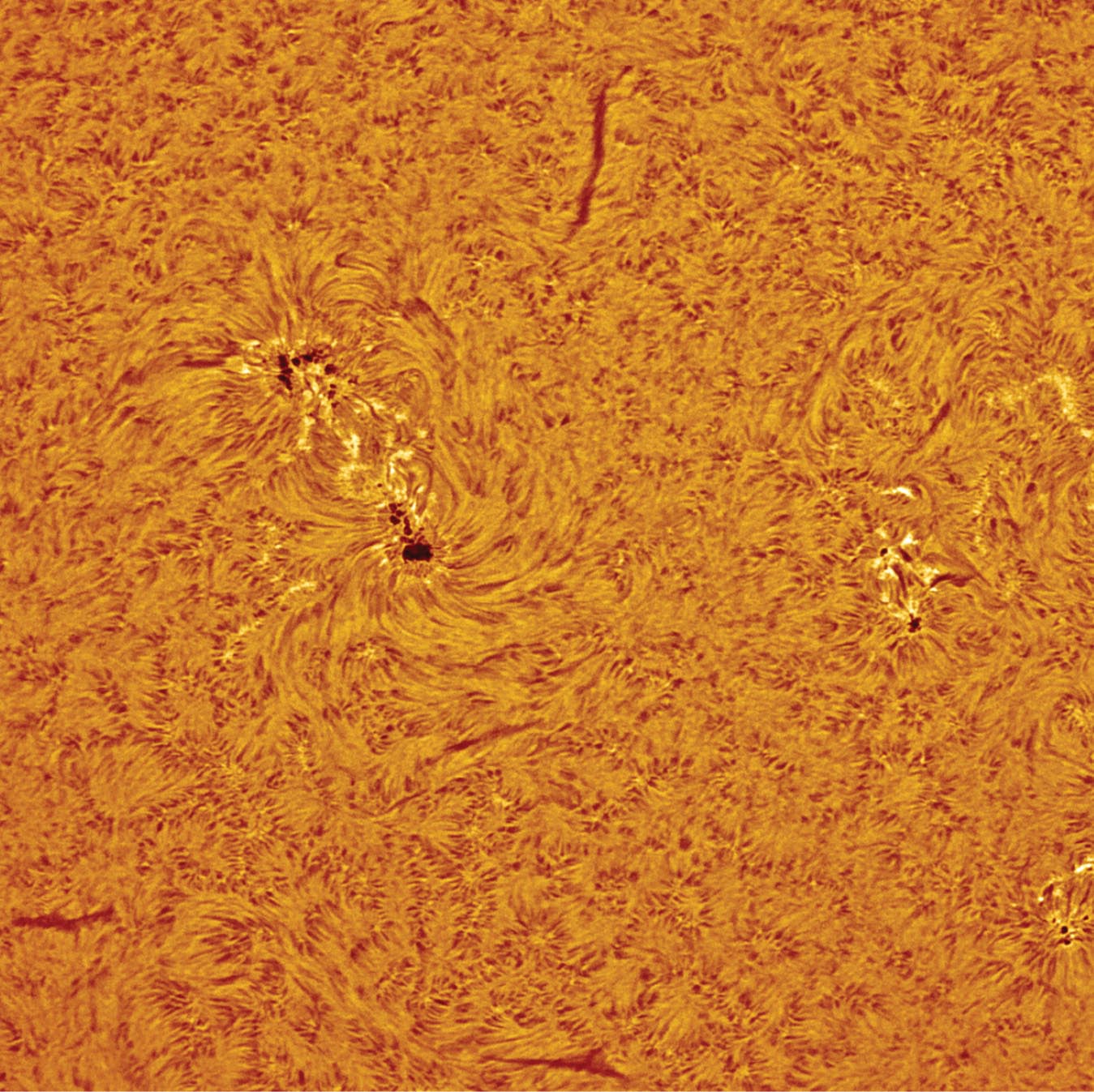 PTO.v77.i8.18_1.f1.jpg