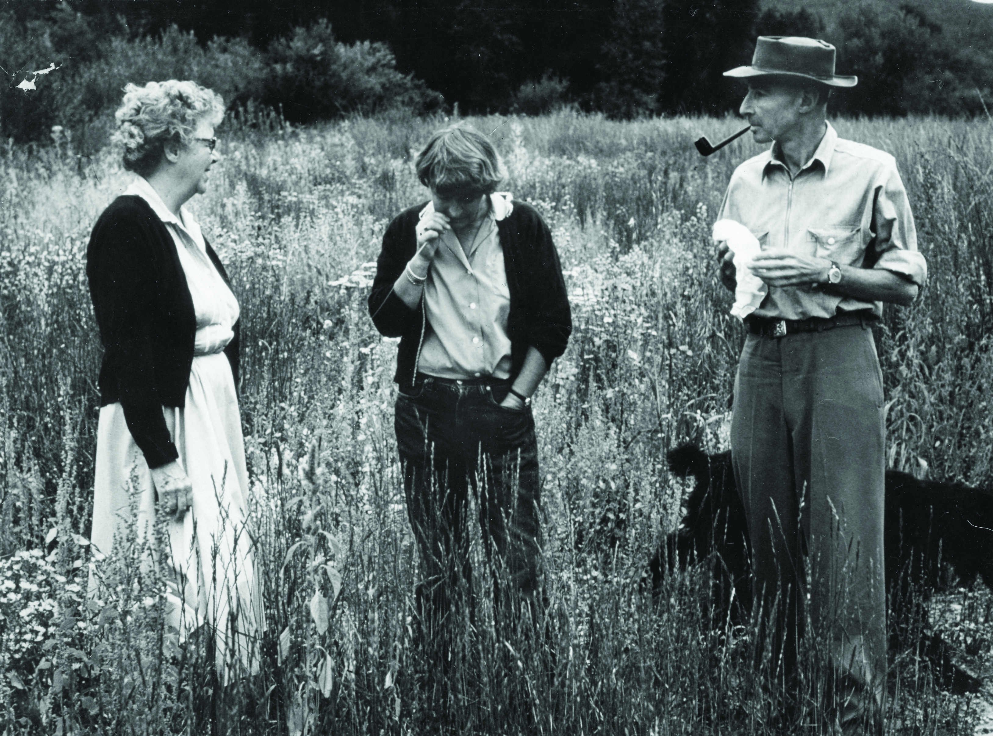 Three people stand in a field.