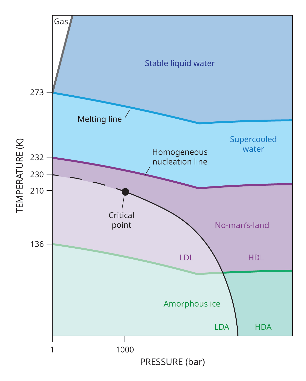 A phase diagram shows the transition temperatures and pressures for stable water, supercooled water, and amorphous ice, as well as the regimes high-density liquid and low-density liquid phases of water in no-man's-land. It also shows the critical point at 210 K and 1000 bar.