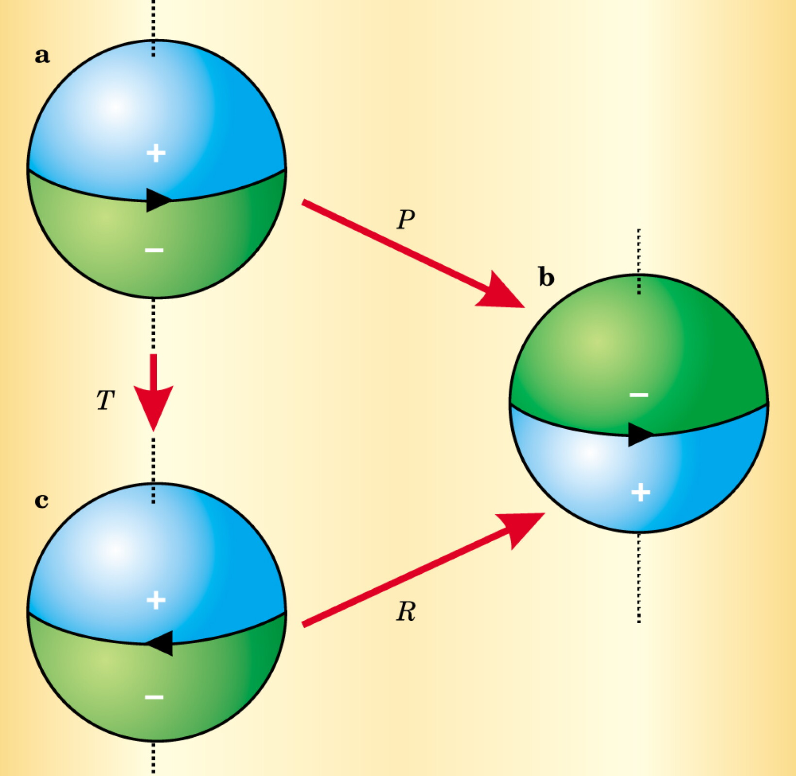The Search for a Permanent Electric Dipole Moment - Physics Today