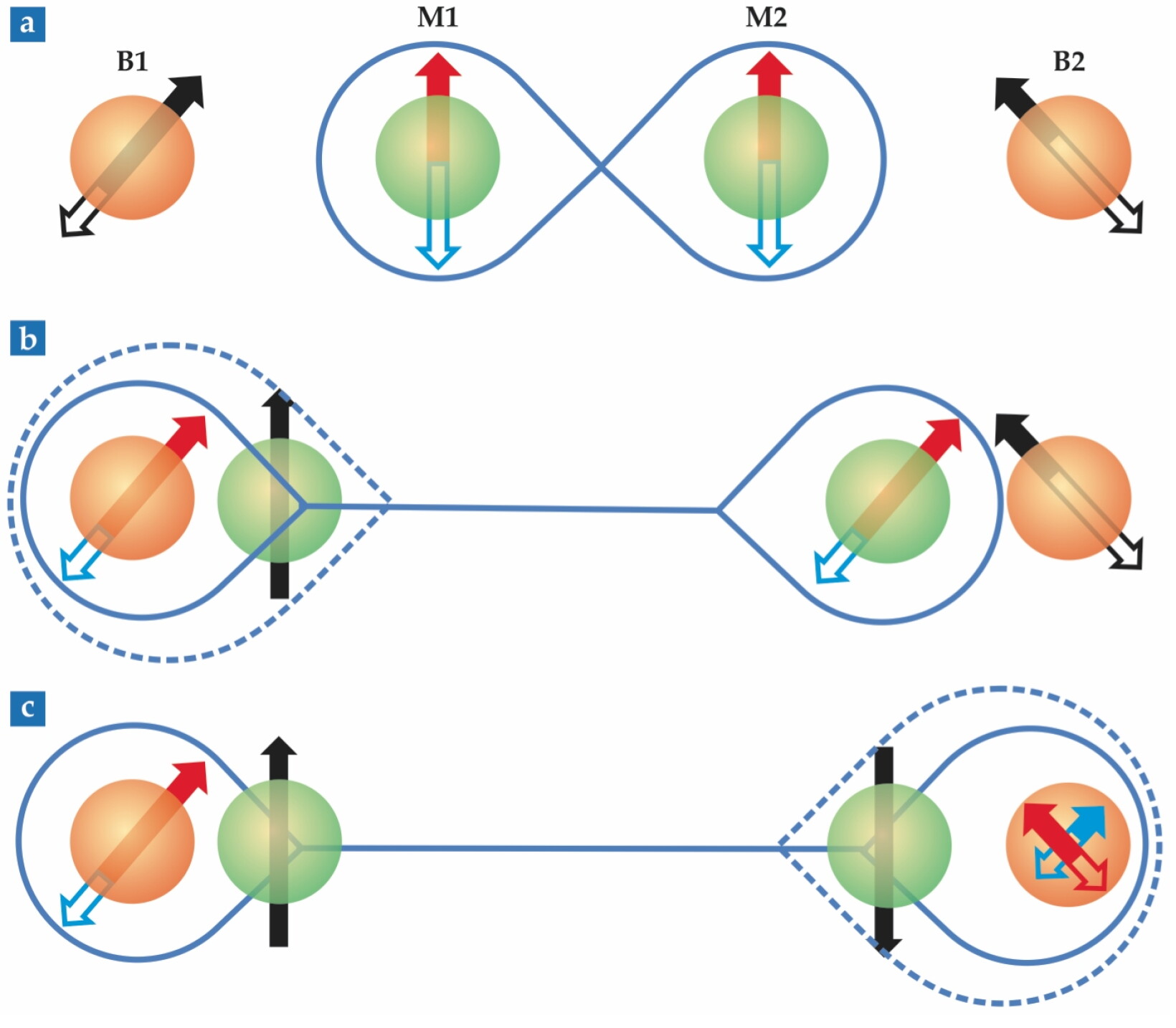 Teleportation for device-scale quantum computing - Physics Today