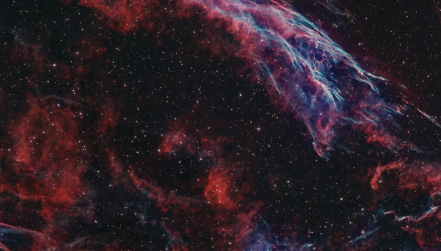 PTO.v77.i8.56_1.f1.png