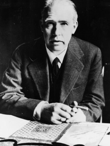 Niels Bohr, quantum physicist who was probably shocked by quantum theory
