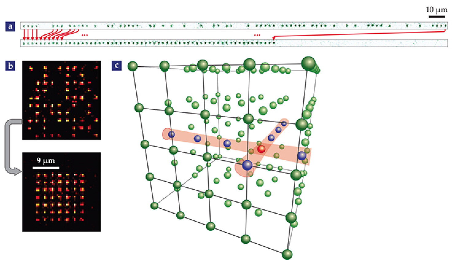 Quantum computing with neutral atoms - Physics Today