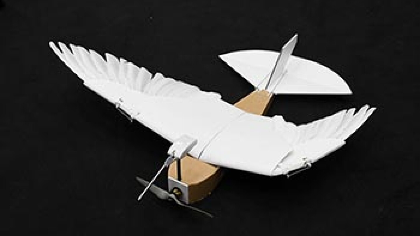 Microstructures of a feather lock together - Physics Today