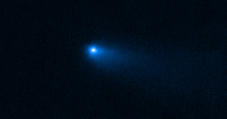 42476/fig1.jpg