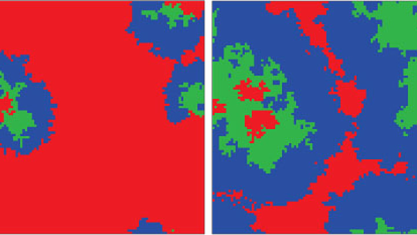 The cost and benefit of deception - Physics Today