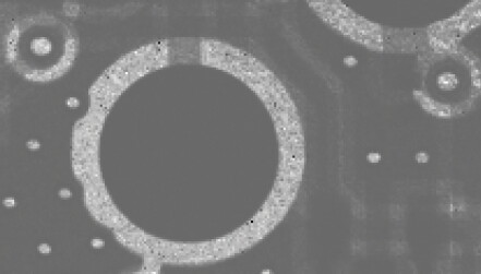 PT-00157_SW_fig1a.jpg