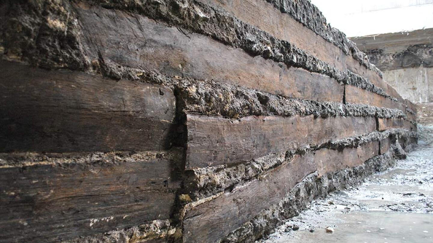 Muddy Find Shows How Foreign Timber Helped Build Ancient Rome - AIP.ORG