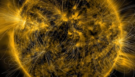A depiction of the Sun's magnetic fields.