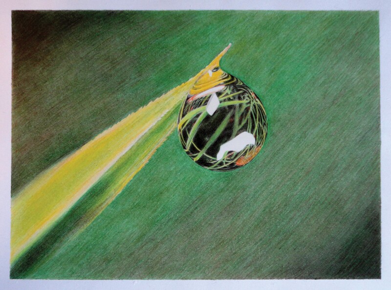 Artwork from a previous physics fine art contest shows a water droplet on a leaf drawn by colored pencils.