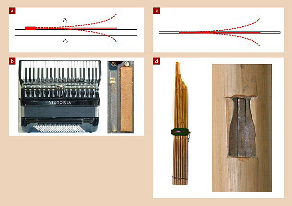Free Reed Instrument With According Acoustics of free-reed instruments - Physics Today