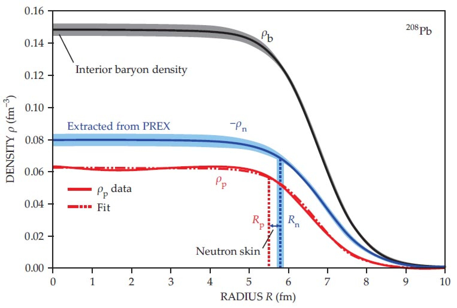 Lead nuclei have a thick skin - Physics Today