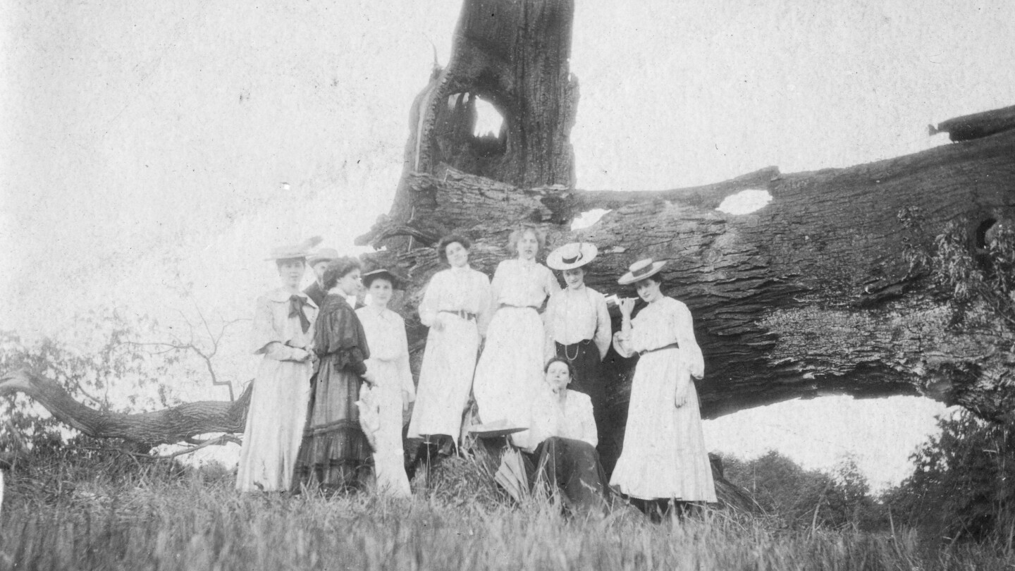 The Faces of Sisters in Science The Faces of Sisters in Science