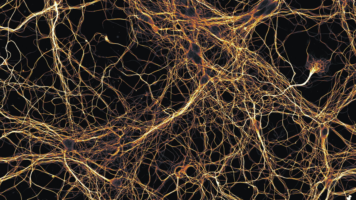 Math Network Exsample The new math of network optimization, courtesy of string theory ...