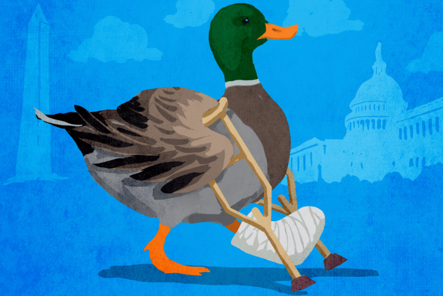Lame Duck