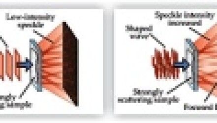 2377/pt40789__1146786918.jpg