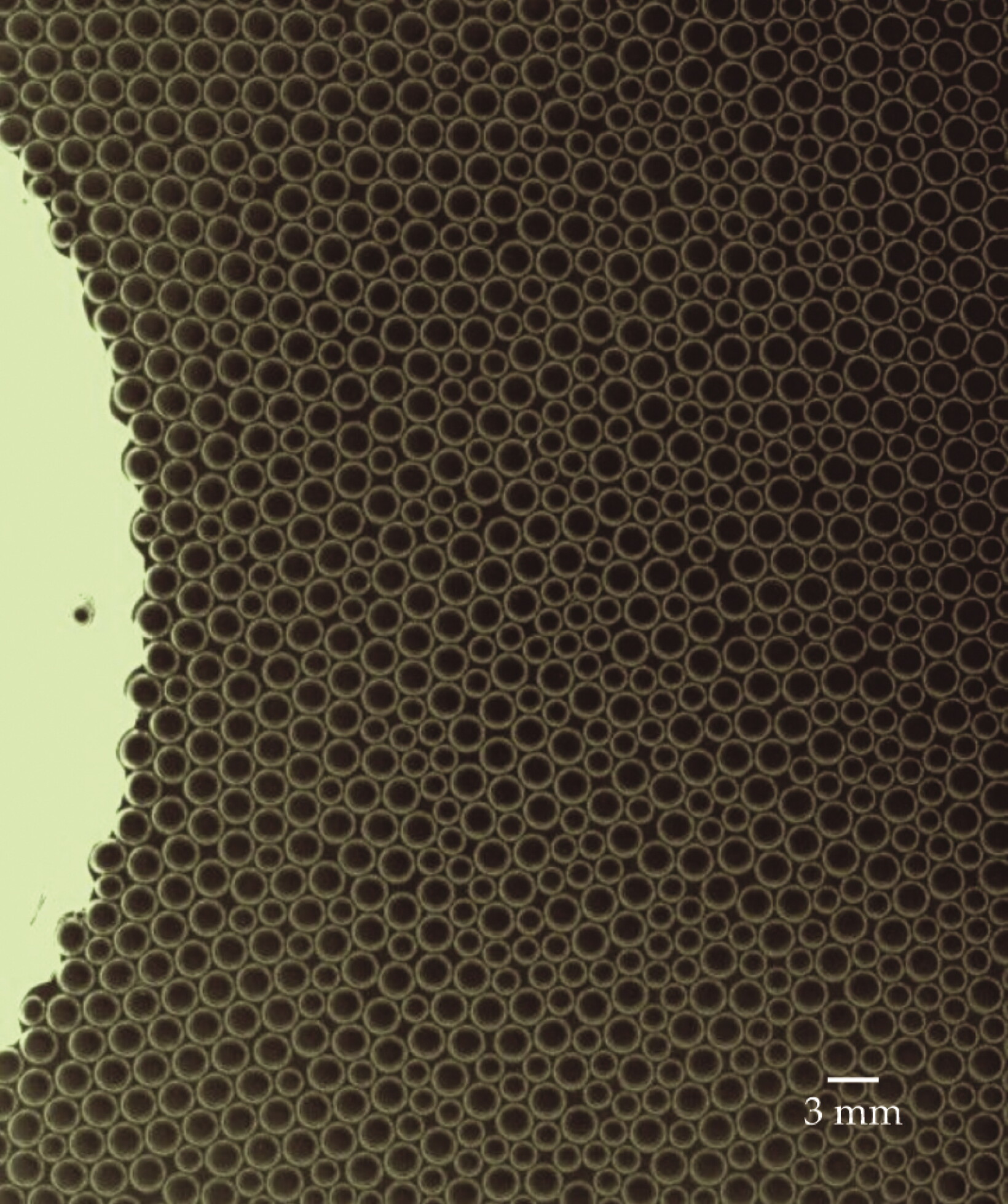 A raft of soap bubbles remembers its past - Physics Today