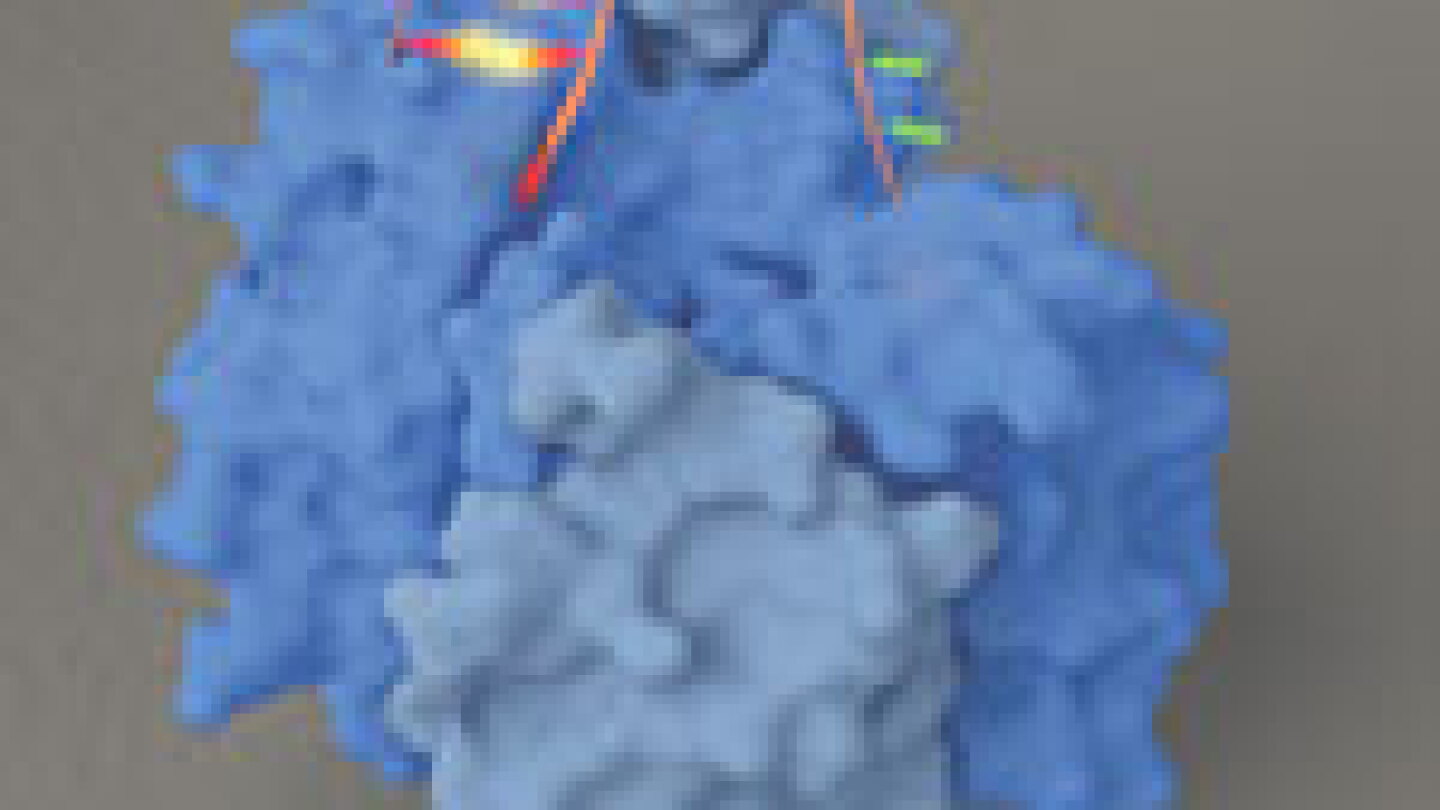 Dangling DNA pinpoints a protein's chemical groups - Physics Today
