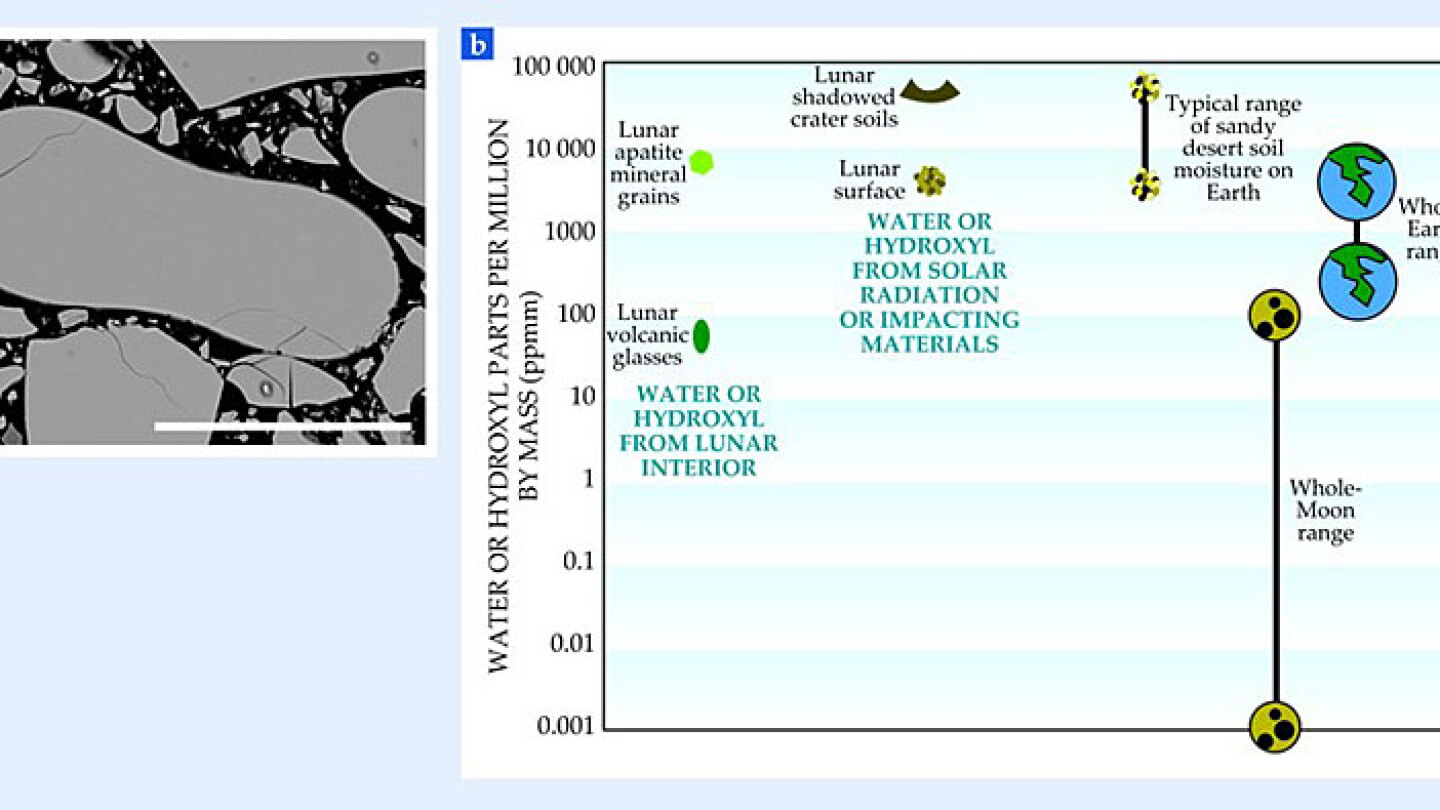 Water on the Moon - Physics Today