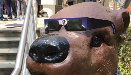 DogEclipse.jpg