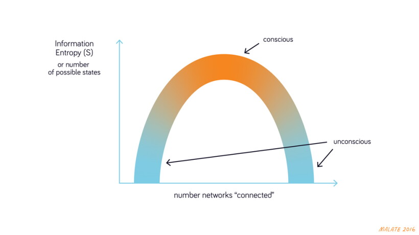 How Conscious Are You? - AIP.ORG