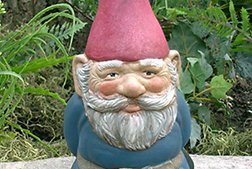 18630/pt5010123_gnome.jpg