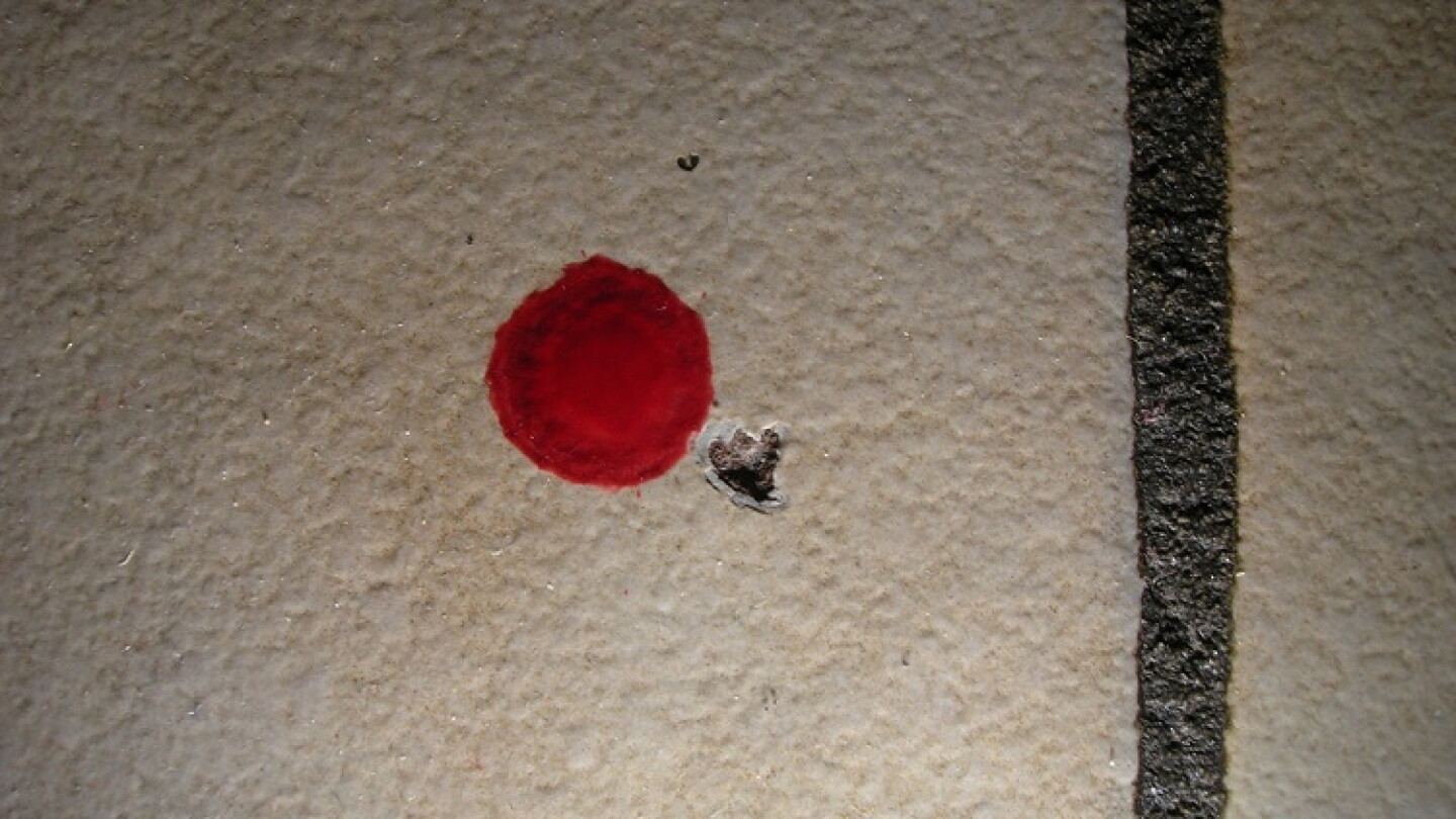 Address Bleeding Bleeding Edge Of Forensics - AIP.ORG