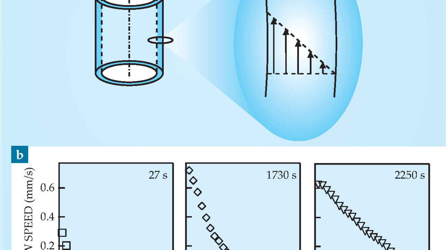 A complex fluid exhibits unexpected heterogeneous flow - Physics Today