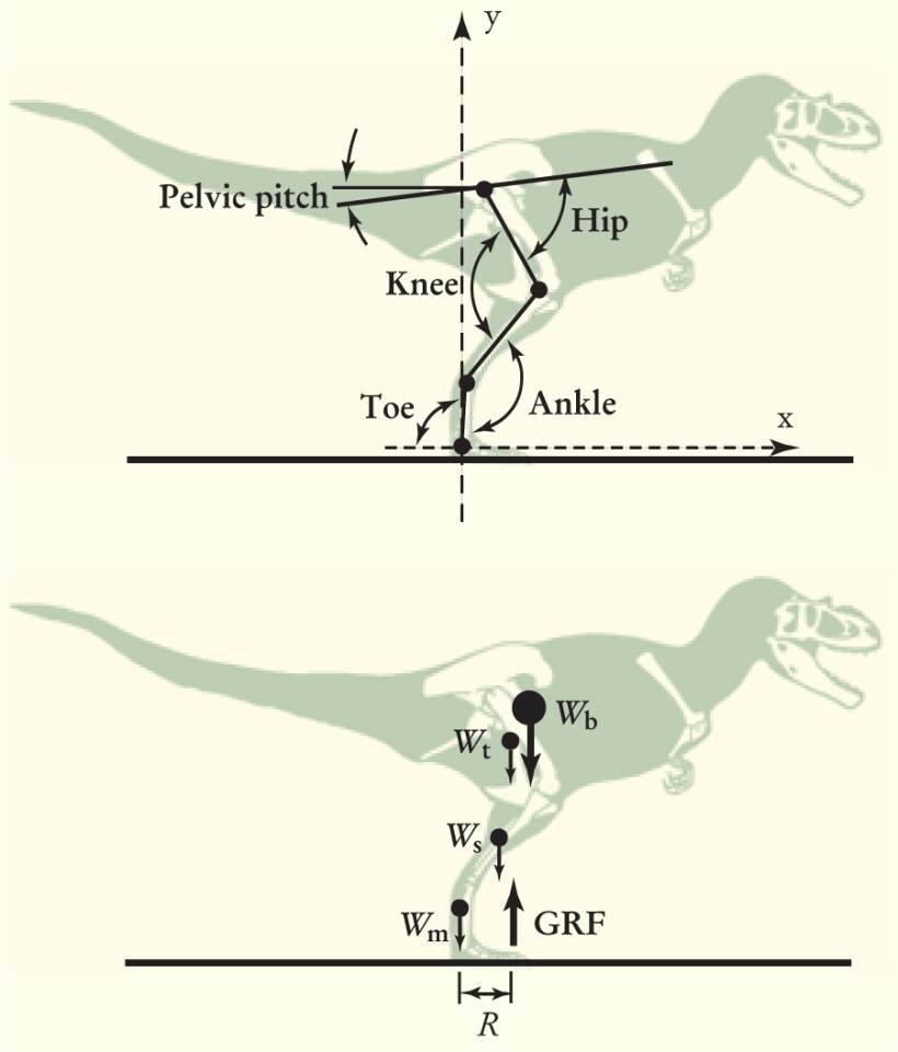 PTO.v55.i4.18_1.f1.jpg