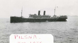 PTO.v63.i12.44_1.f1.jpg