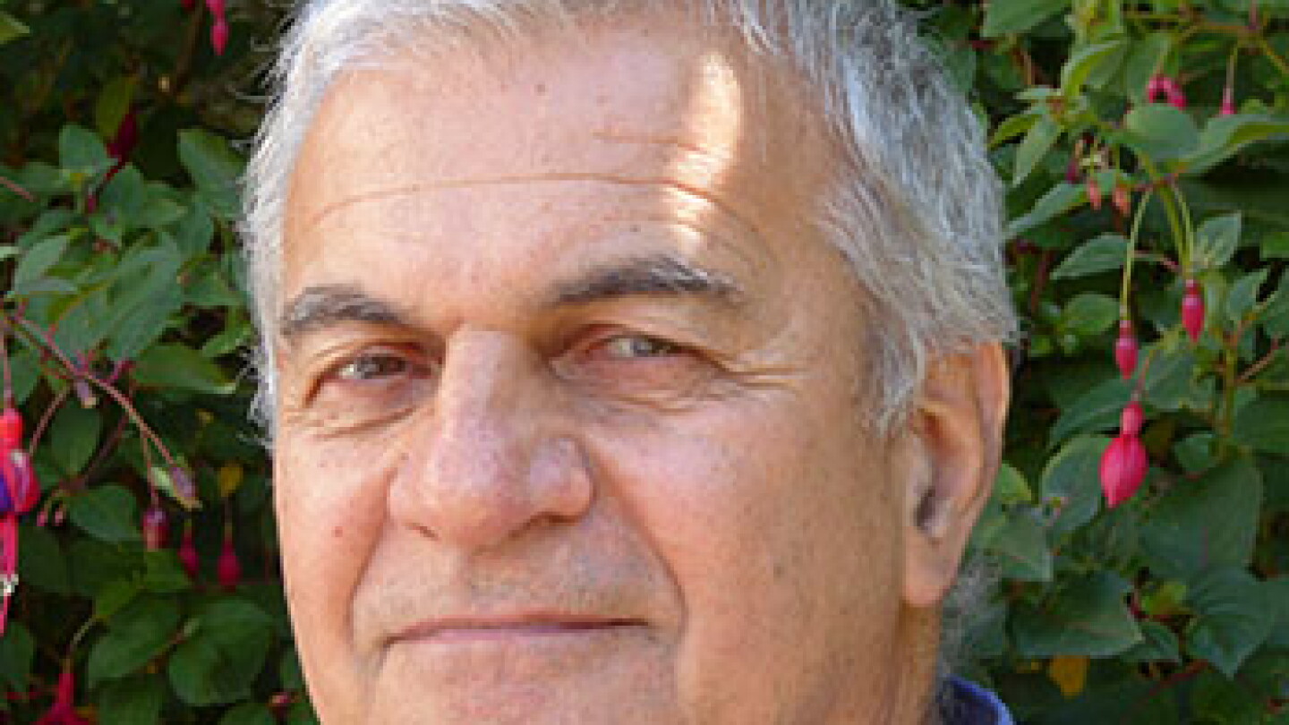 Harry Collins Rip Q&A: Harry Collins on acquiring and using scientific knowledge ...