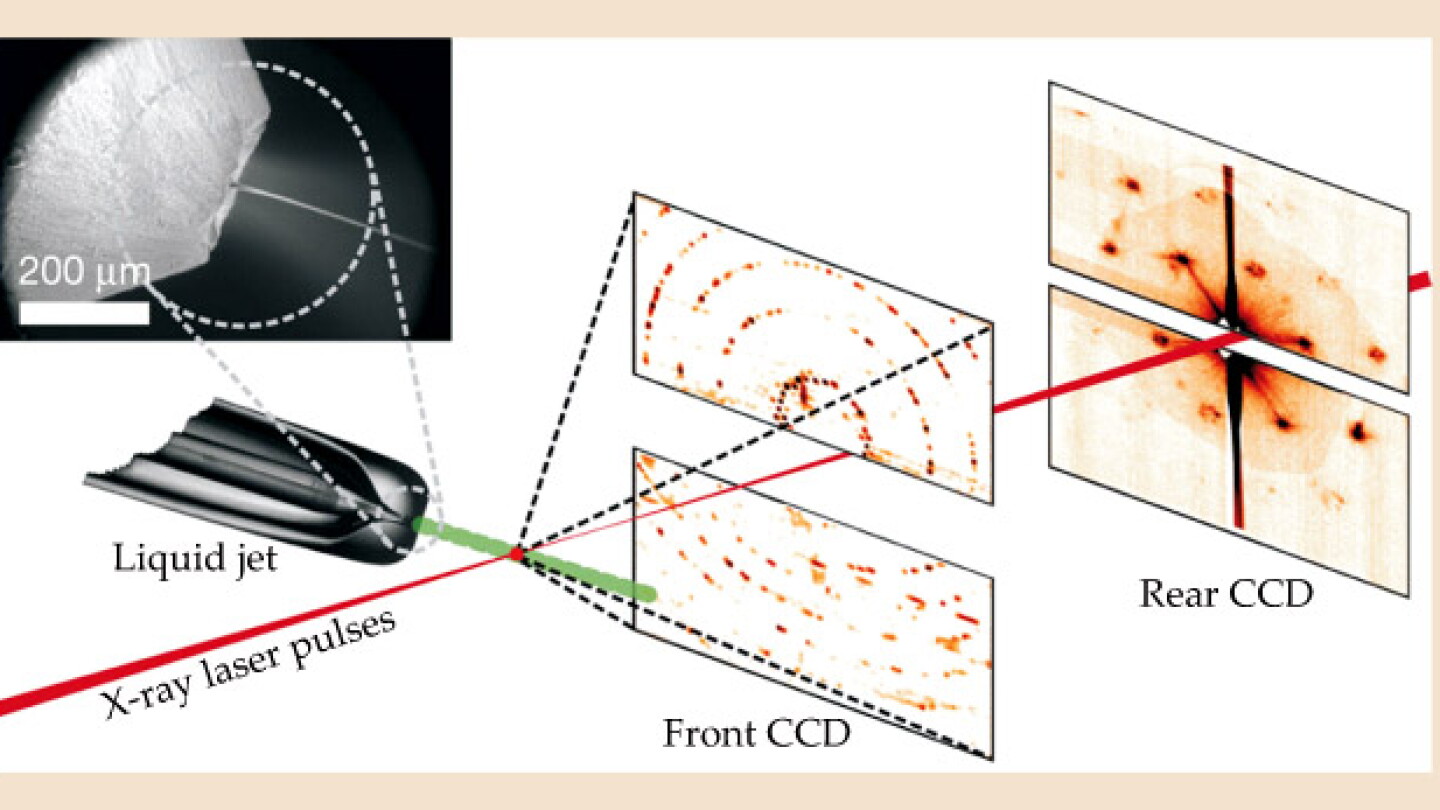 X rays from a free-electron laser resolve the structures of complex ...
