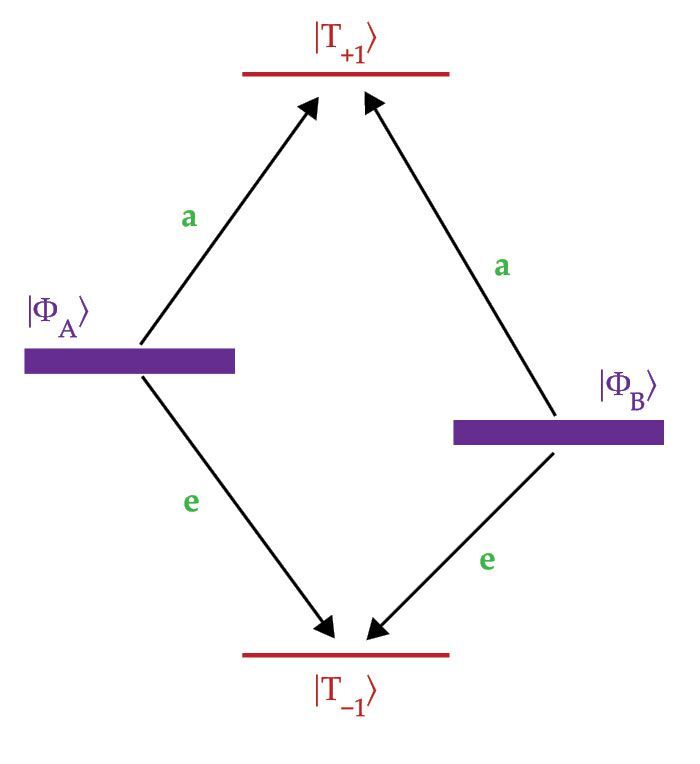 PTO.v76.i3.28_1.f1.jpg