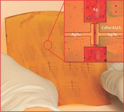 11339/pt57263_pt-5-7263figure1-72.jpg